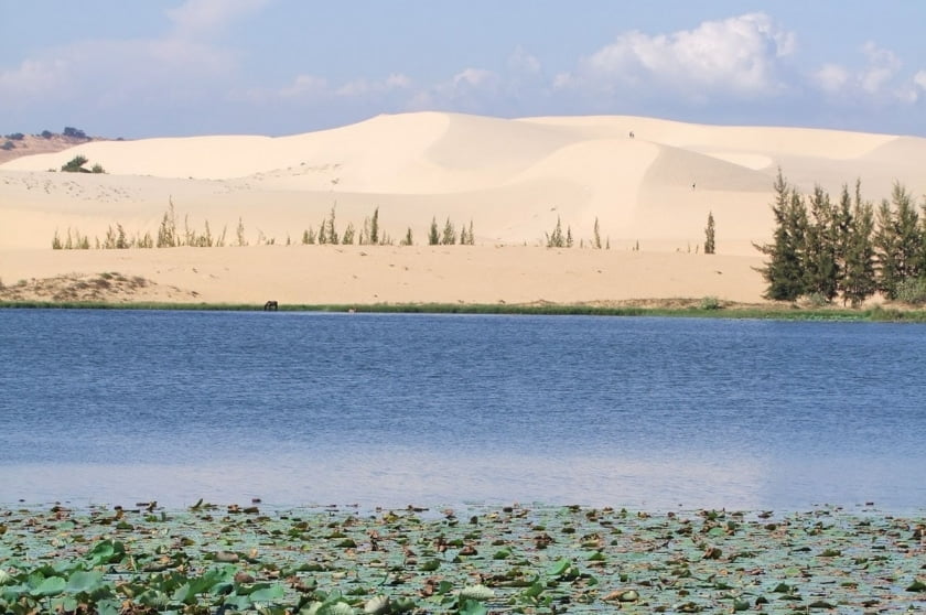 mui ne - dune blanche - vietnam