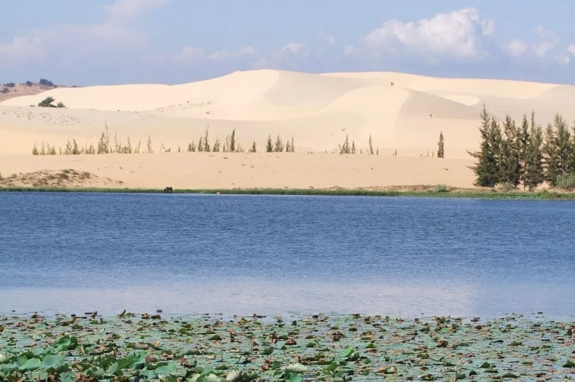 mui ne - white dune - vietnam