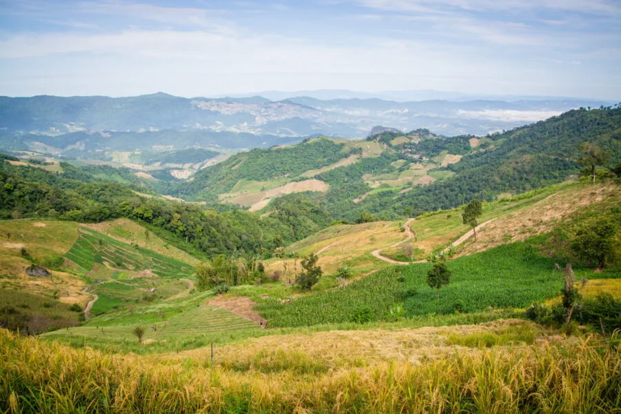 beautiful viewpoint between phu chi fah and doi pha tang