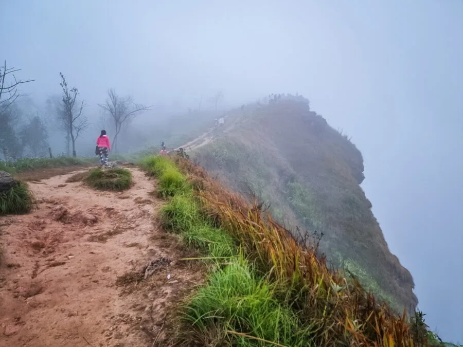 fog at phu chi fah chiang rai