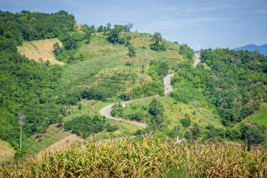 curves road 1155 mountains chiang rai province