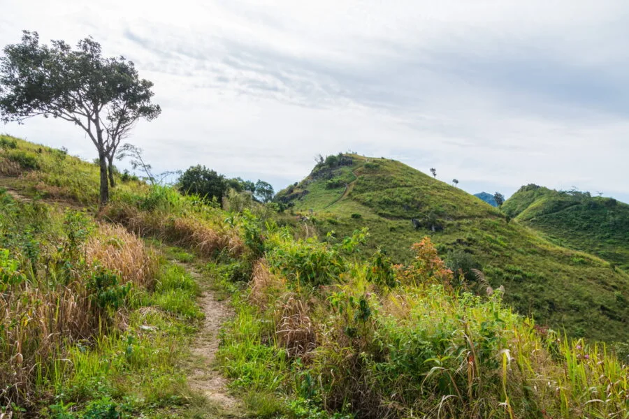 start of the trail at doi pha tang chiang rai