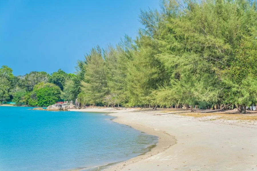 detail beach pantai kok marina telaga langkawi malaysia