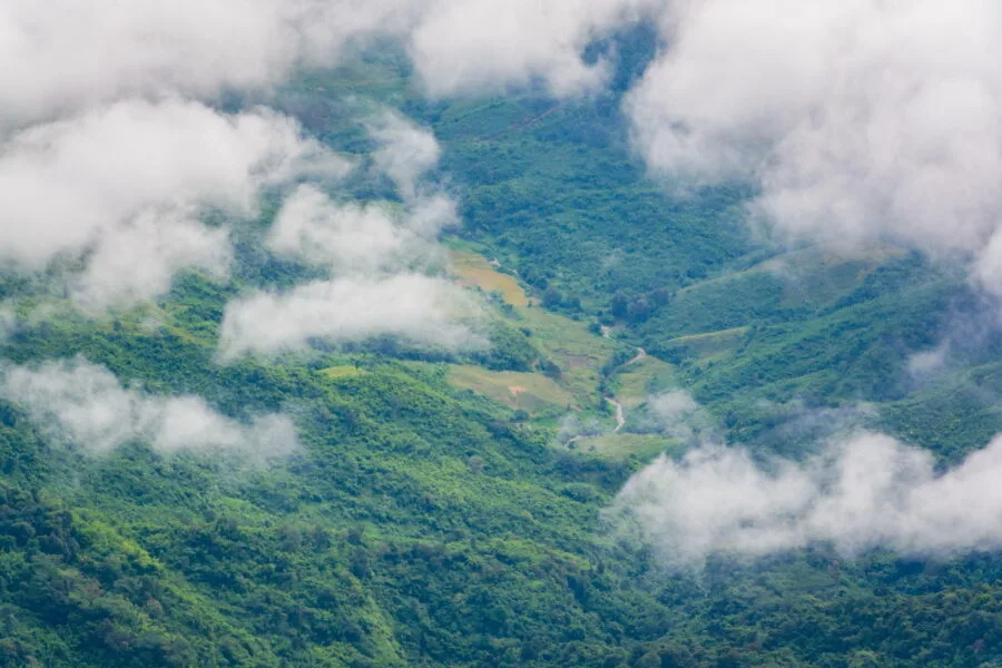 detail on laos from doi pha tang chiang rai