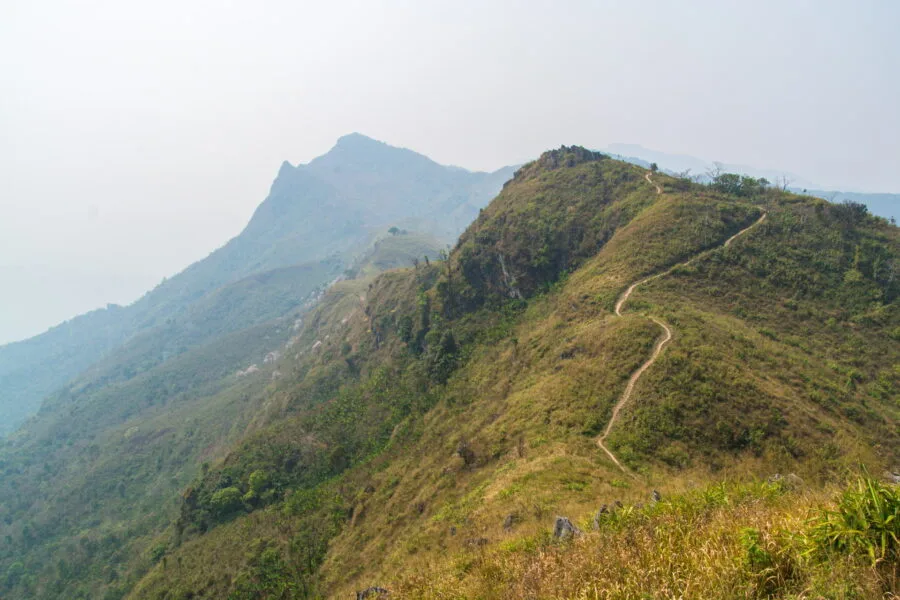 Doi Pha Tang in March