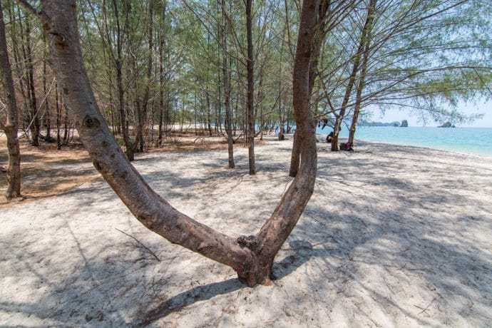 ile langkawi - malaisie