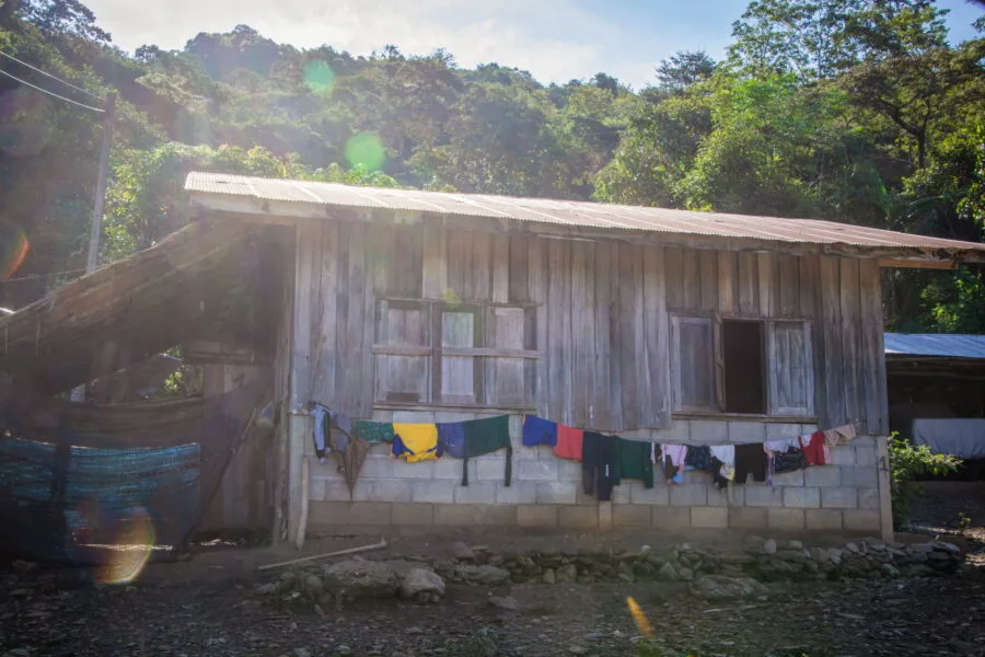 country house around Doi Pha Tang
