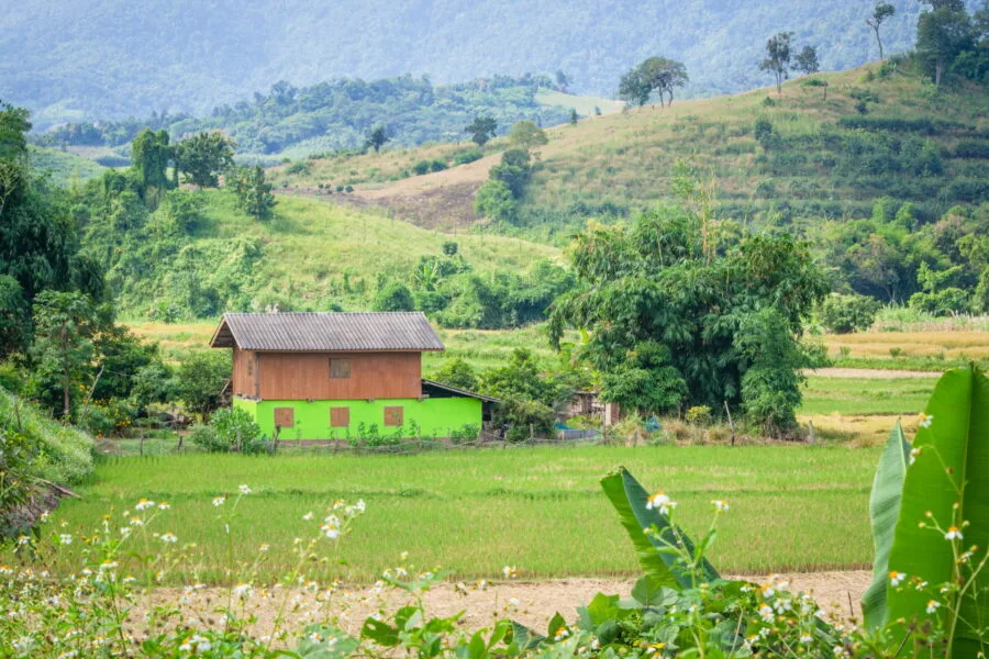 rural house road 4028 descent doi pha tang