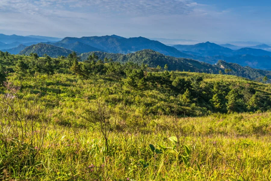mountain landscape in phu chi fah northern thailand