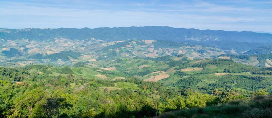 landscape between Phu Chi Fah and Doi Pha Tang