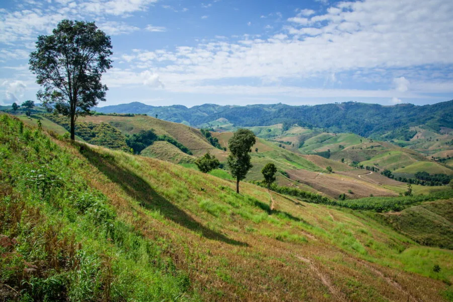 hilly landscape along road 1155 chiang rai province