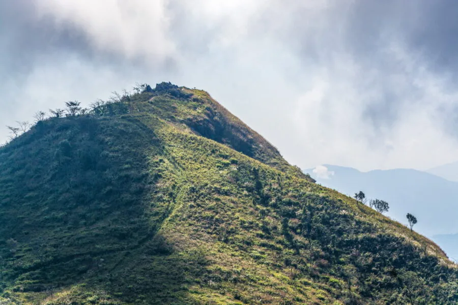 peak on Doi Pha Tang mountain