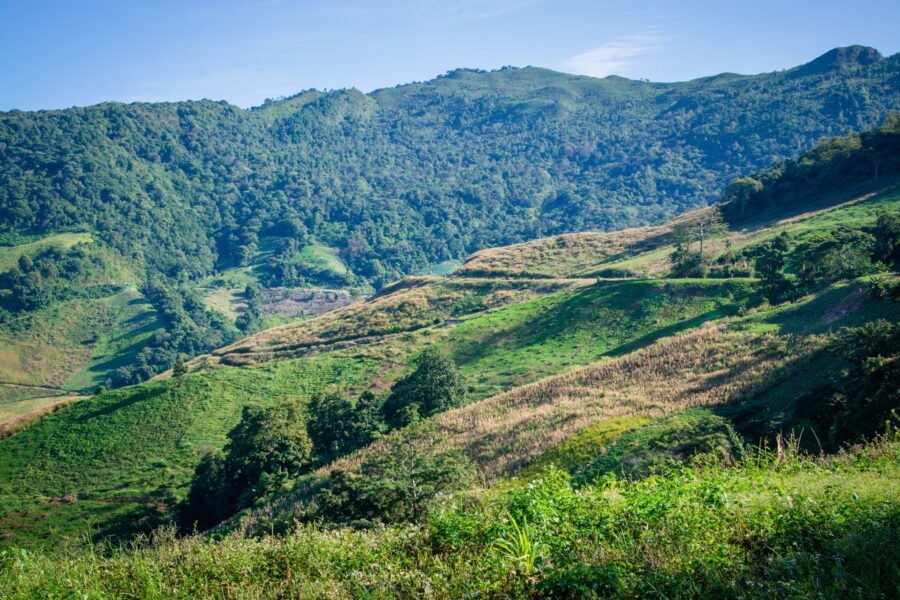plantations visible sur route vers doi pha tang