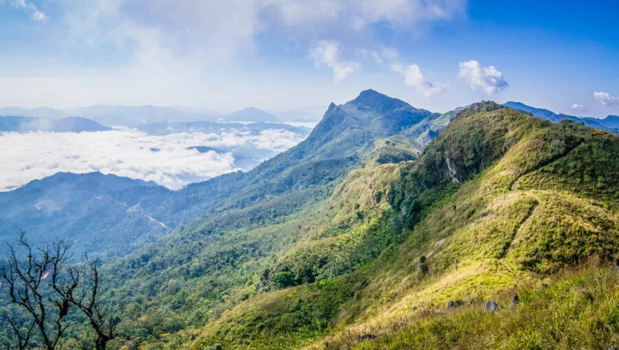 viewpoint from the top of the Doi Pha Tang mountain