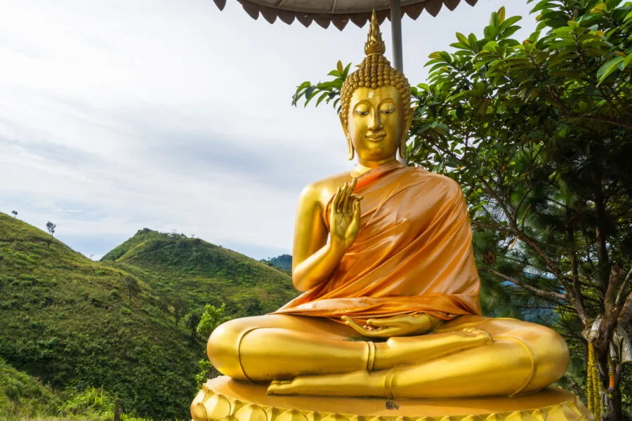 Buddha statue at Doi Pha Tang