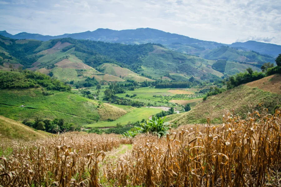 long valley road 1155 chiang rai province