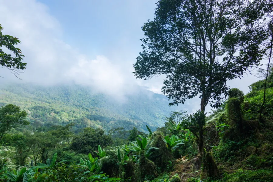 partial view from doi pha tang natural arch