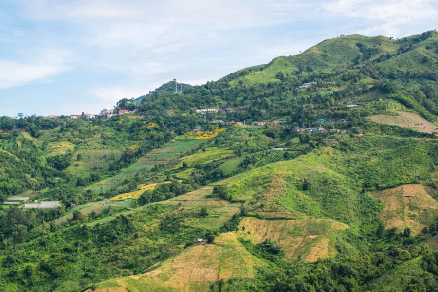 view of hotels mountainside doi pha tang