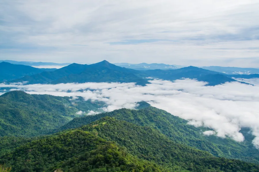 view of Laos from Doi Pha Tang Chiang Rai