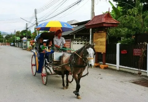 horse carriage lampang north thailand