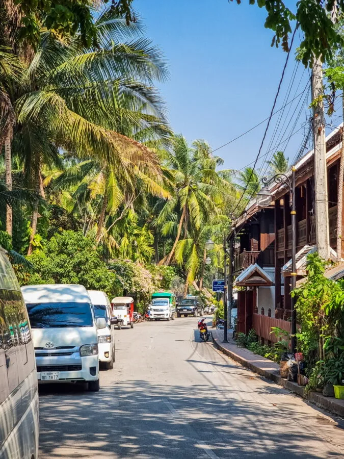 artery bordering mekong luang prabang laos