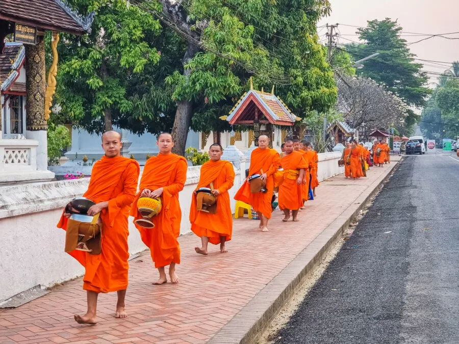 monks offering ceremony luang prabang