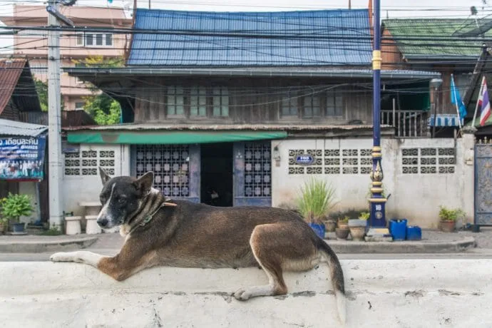 wai yai suwannaram phetchaburi