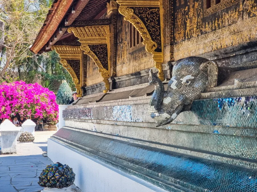 elephant side vat xieng thong luang prabang