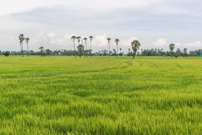 campagne de phetchaburi