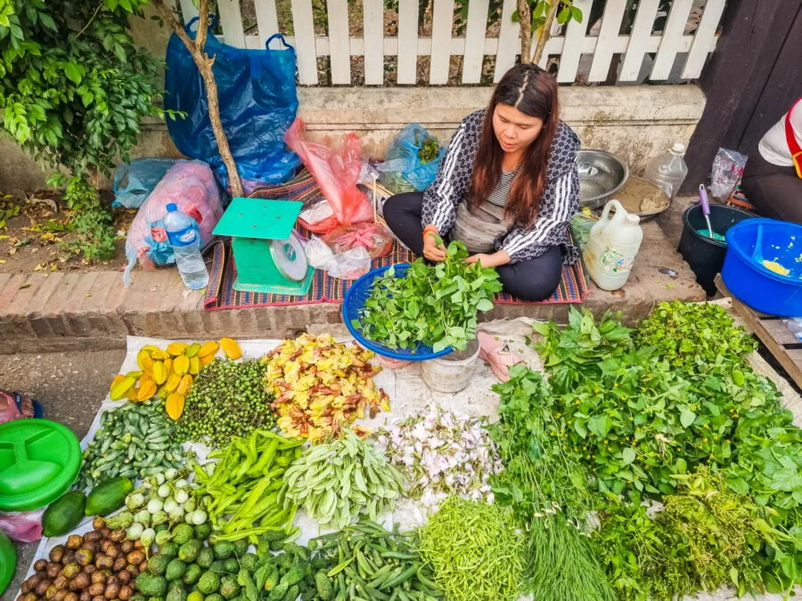 vegetable stall morning market luang prabang