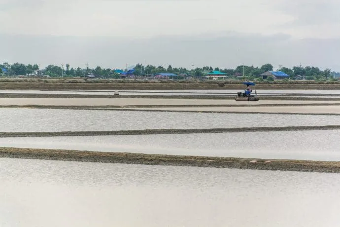 phetchaburi salt marsh