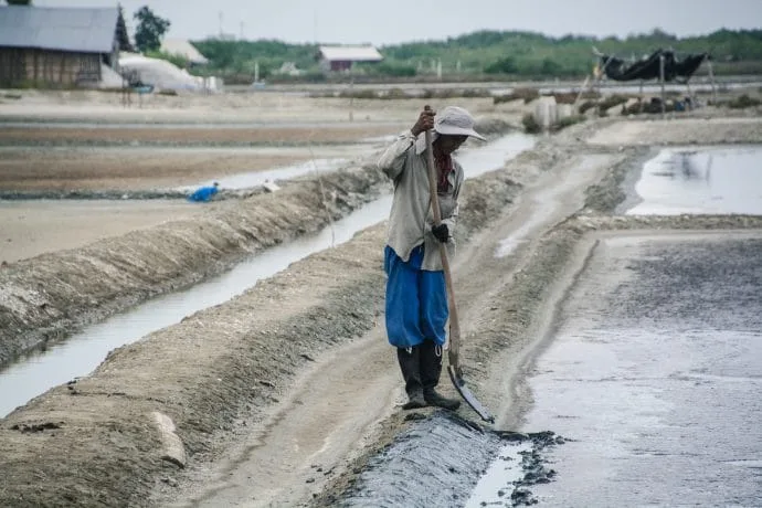 phetchaburi salt marsh