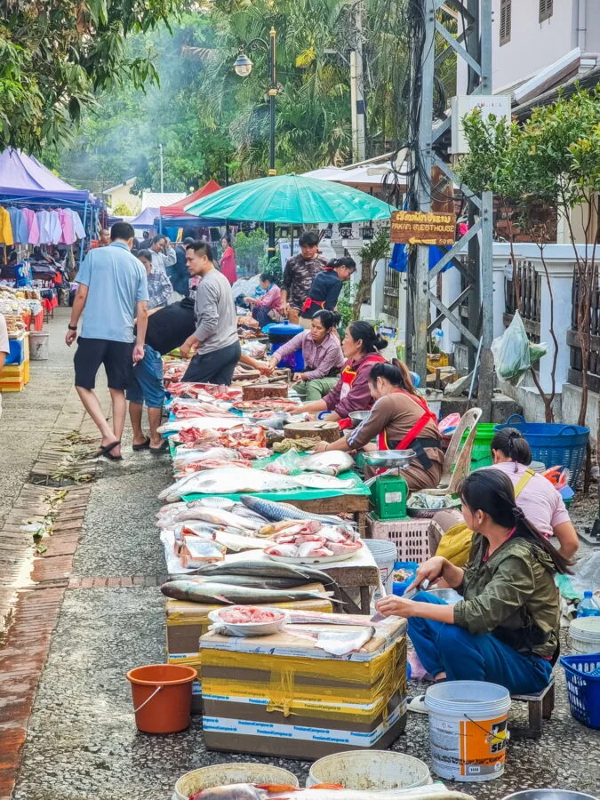 fish market morning luang prabang