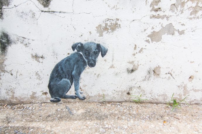 street art chien mur du Wat Phlapplachai Phetchaburi