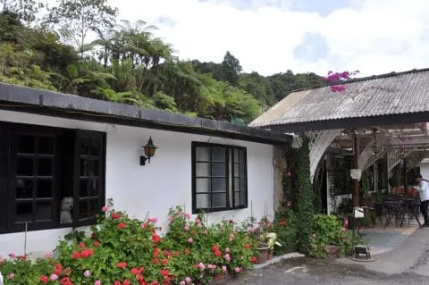 hotel-cameronian-inn-cameron-highlands