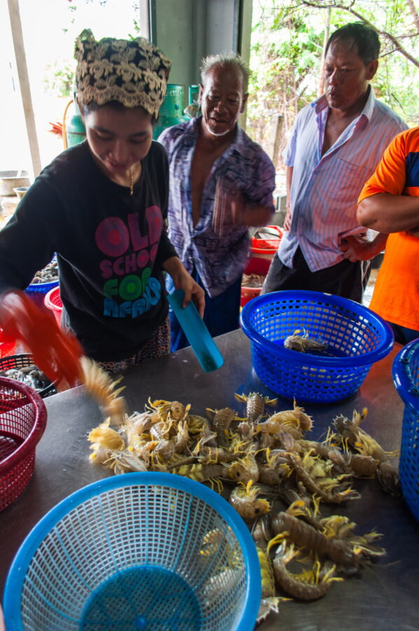 poissonerie tha sala nakhon si thammarat