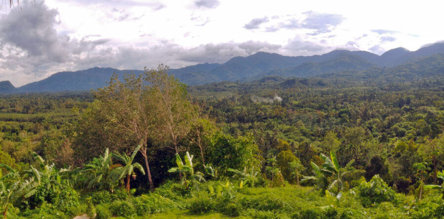 vue sur montagne depuis two s day cafe nakhon si thammarat