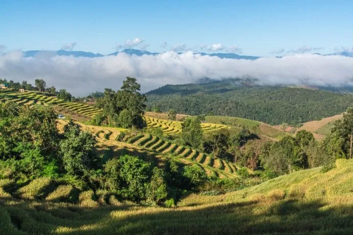 Baan Pa Pong Pieng Rice Terraces - Chiang Mai