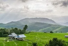 Baan Pa Pong Pieng Rice Terraces - Chiang Mai