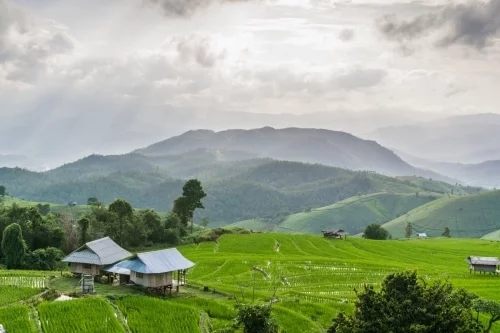 Baan Pa Pong Pieng Rice Terraces - Chiang Mai
