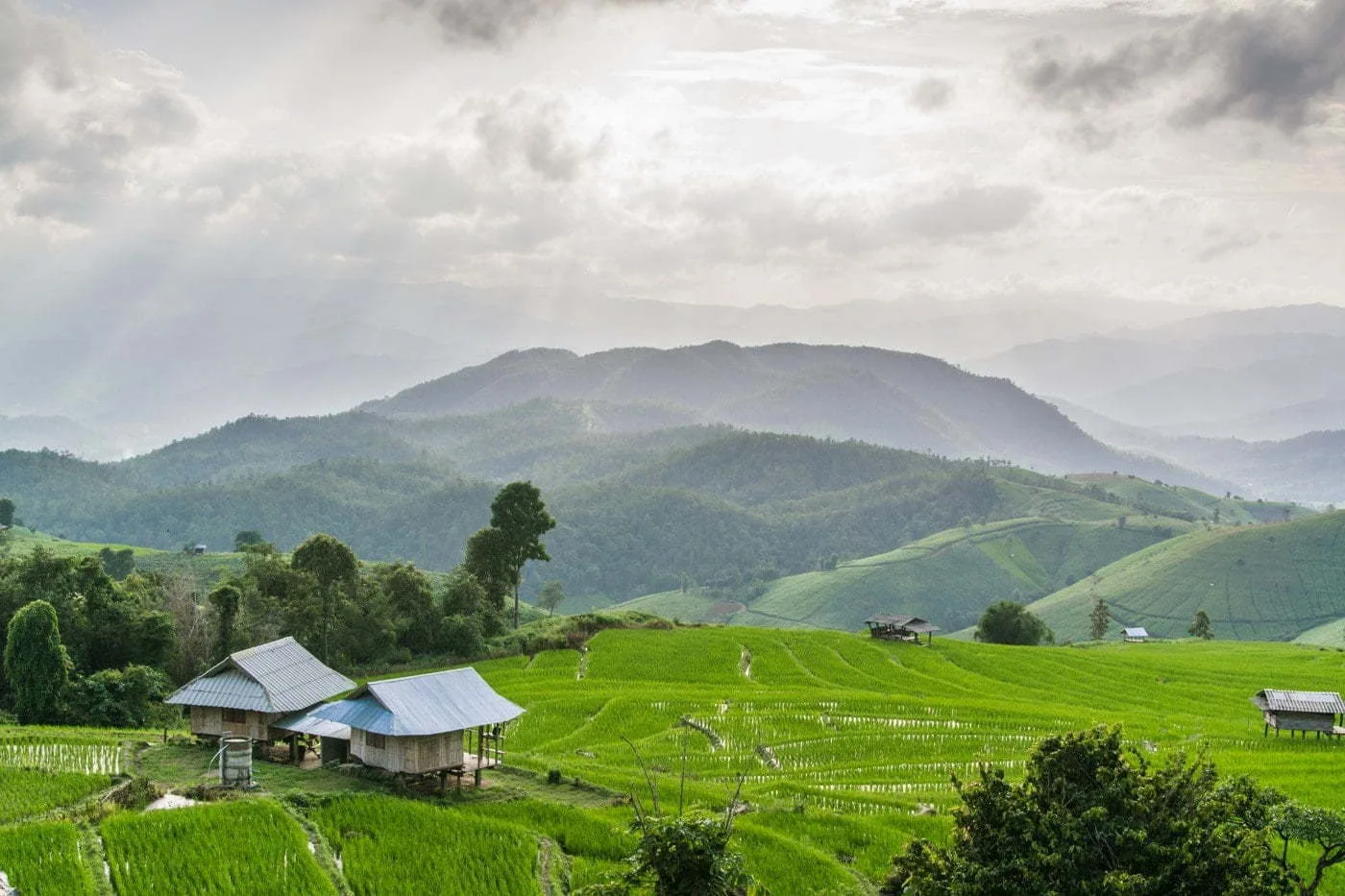 Baan Pa Pong Pieng Rice Terraces - Chiang Mai