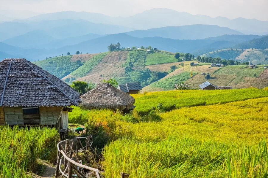 landscape mountain Ban Pa Pong Piang chiang mai