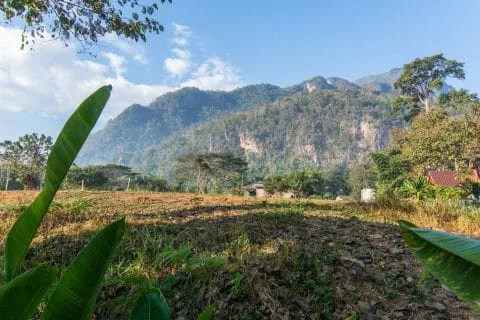view at home chiang dao resort