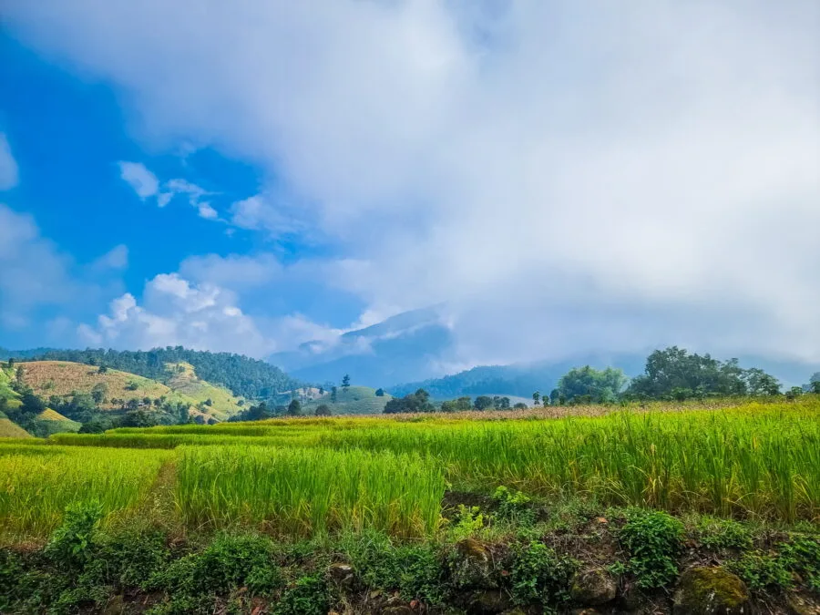 Ban Pa Pong Piang mountain view