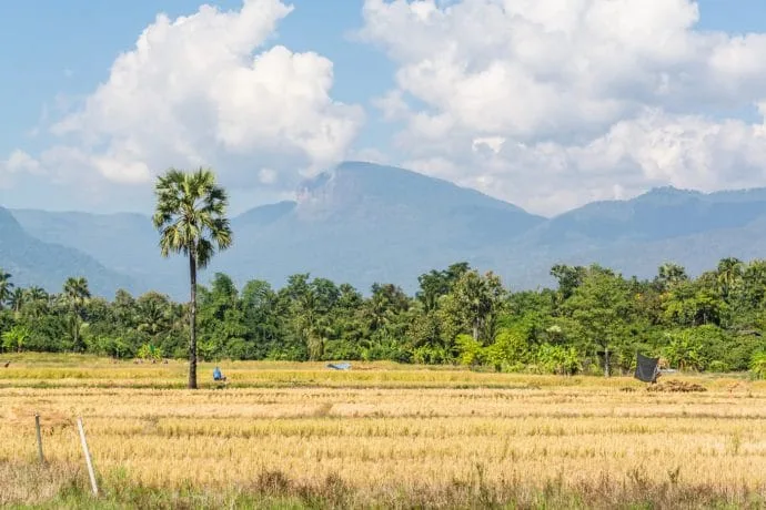 view terrace baan sunlomjoy chom thong doi inthanon