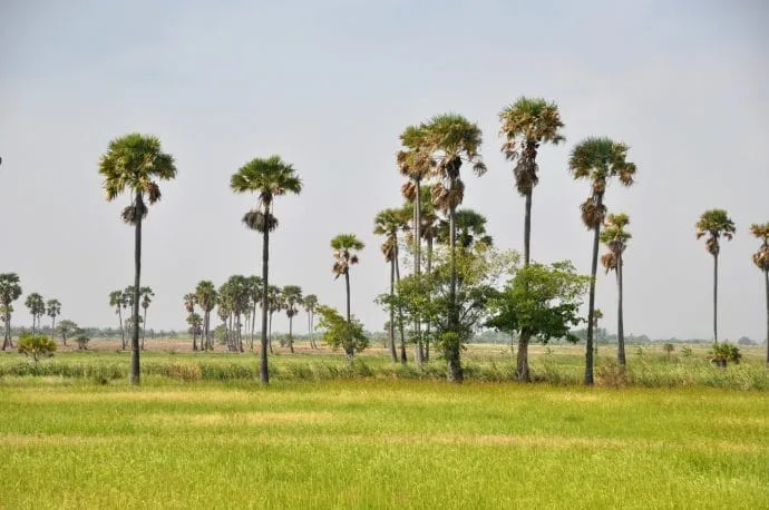 countryside near Sam Roi Yot