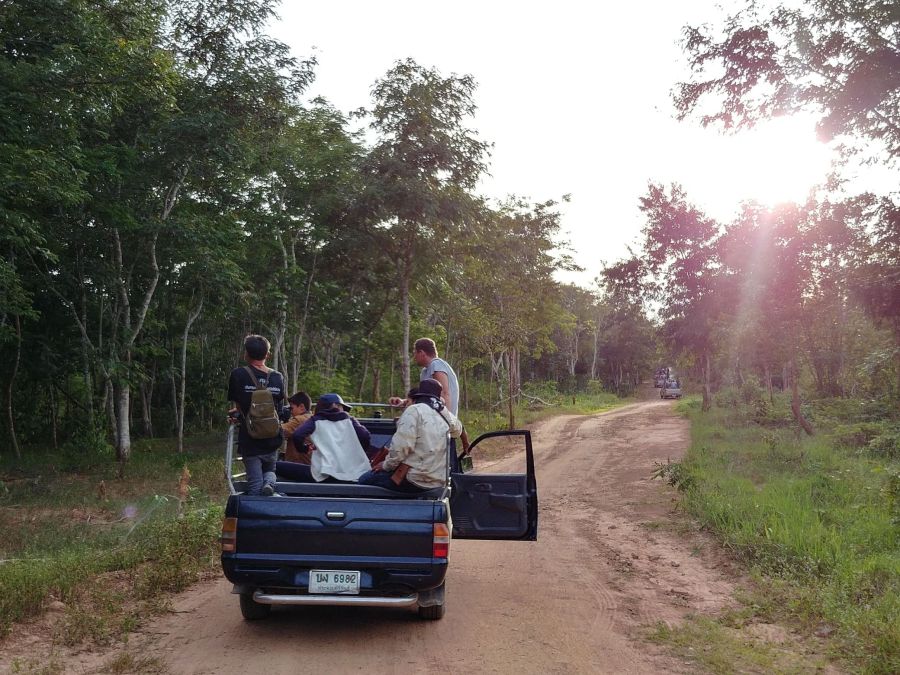en mode safari au parc national kui buri thailande