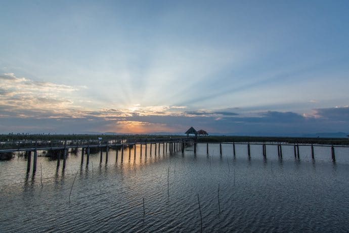 marais thung sam roi yot - thailande