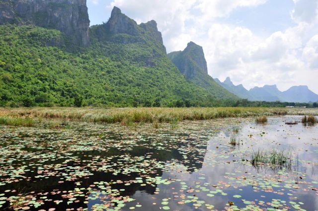 marais thung sam roi yot - thailande