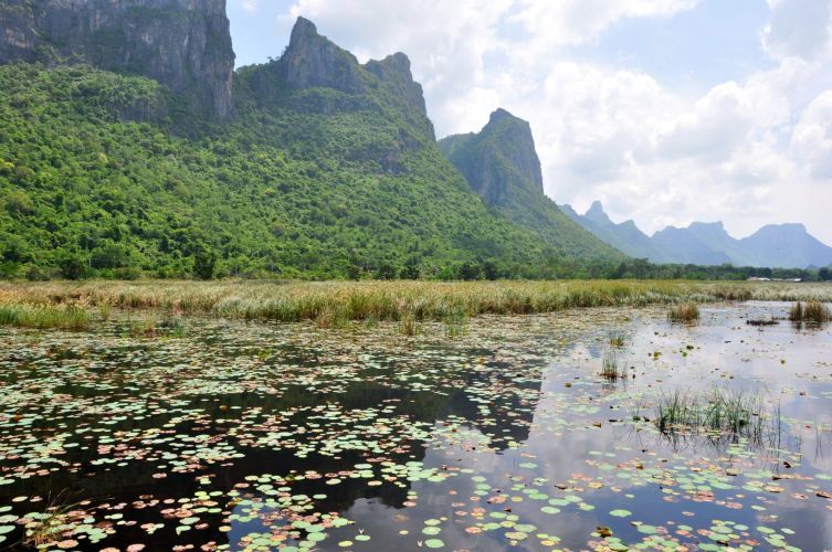 marais thung sam roi yot - thailande